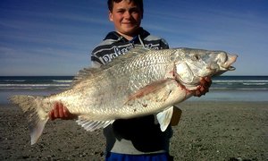 8 kg Steenbras gevang in Pearly Beach
